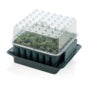 Agralan Plug Plant Trainer