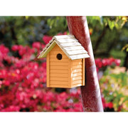 Ronseal Garden Paint Sunburst 250ml Ronseal - RockBottom Nothampton