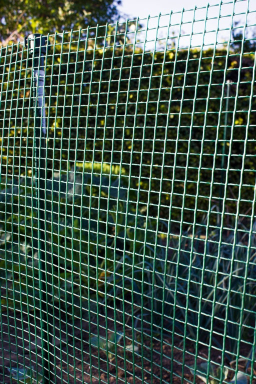 Ambassador Garden Mesh 5 x 0.5m