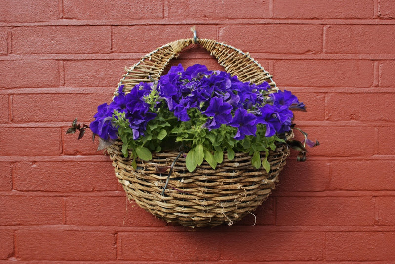 Ambassador Rattan Wall Basket 16"