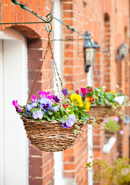 Ambassador Rattan Hanging Basket 12"