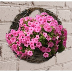 Ambassador Willow Wall Basket 16"