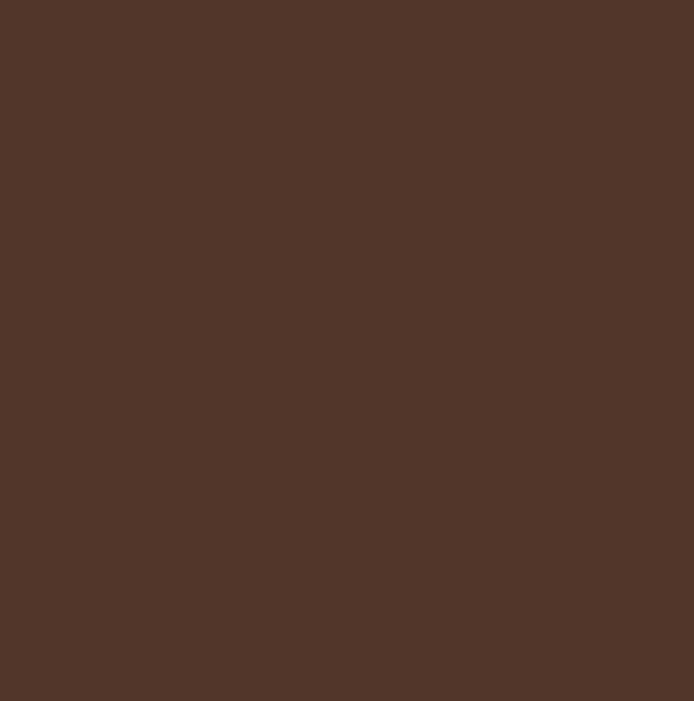 Ronseal High Performance Wood Filler 275g Dark