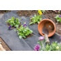 Ambassador Weed Control Fabric 50m x 2m 50 g/m2