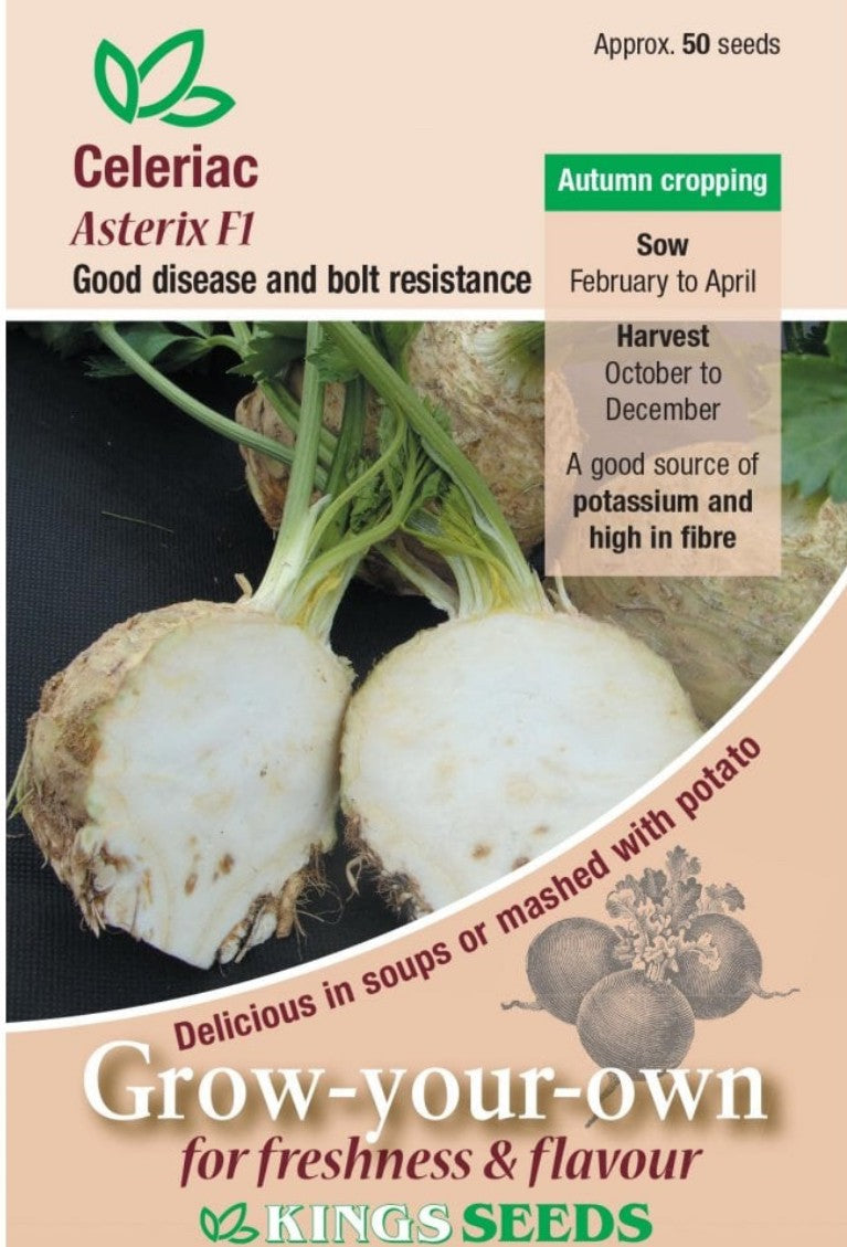 Kings Seeds Celeriac Asterix F1