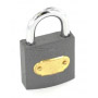 Securit Tricircle Iron Padlock Brass Cylinder 32mm