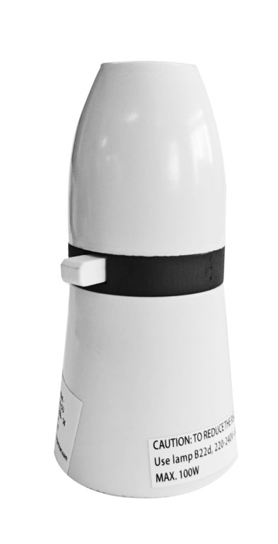 Securlec Switched T2 Lampholder White 3/8"