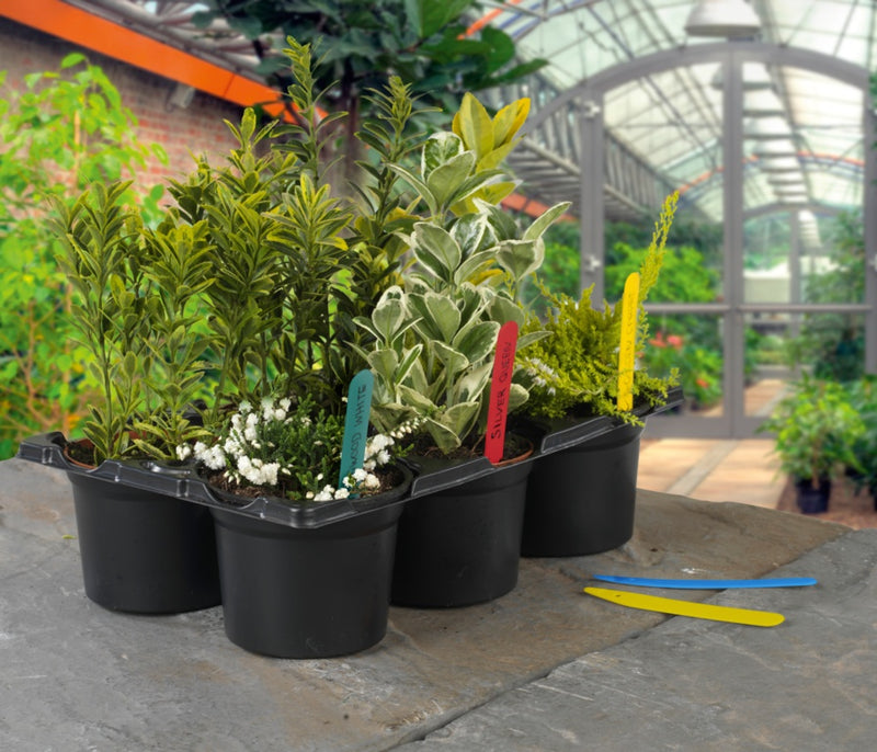 Ambassador Plant Labels 4" Pack 50