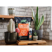 Westland Cacti & Succulent Potting Mix 4 litre Westland - RockBottom Northampton