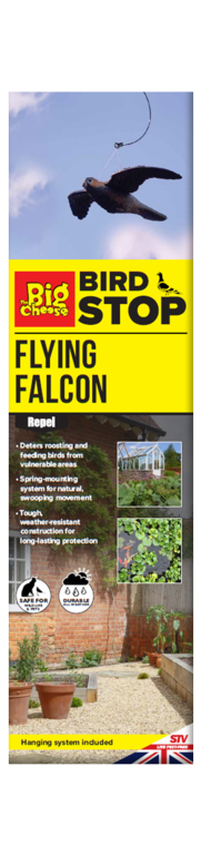 The Big Cheese Flying Falcon