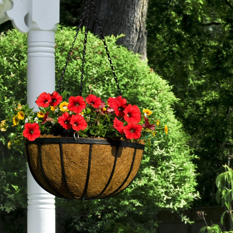 Ambassador Flat Bar Hanging Basket 14"