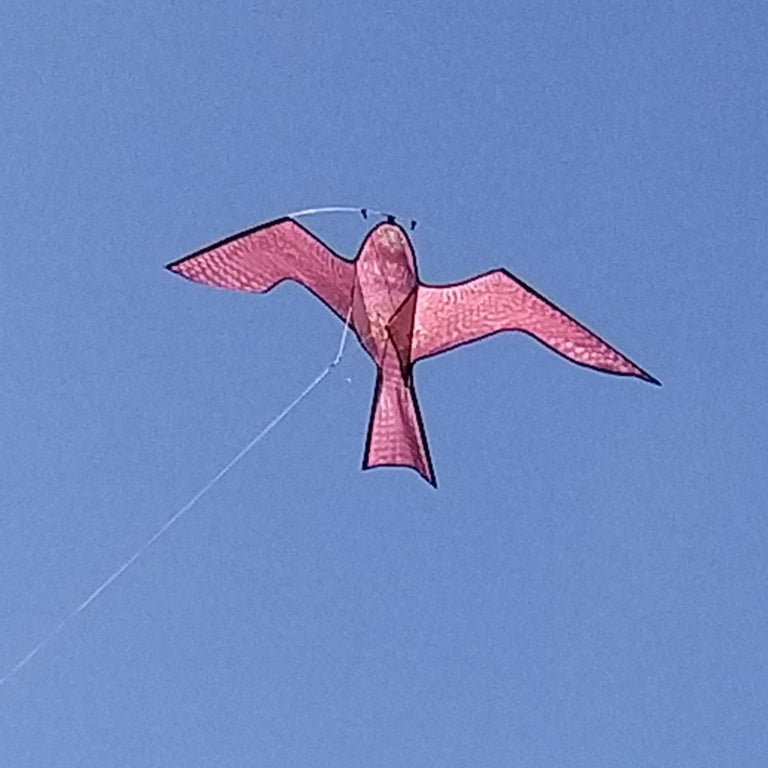 The Big Cheese Hawk Kite Bird Scarer