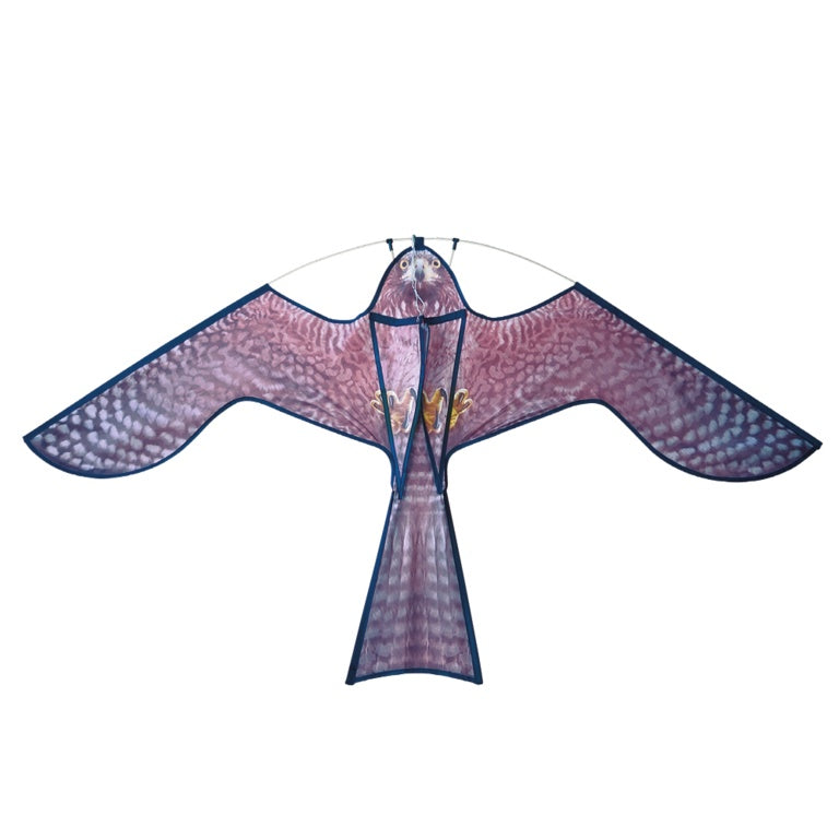The Big Cheese Hawk Kite Bird Scarer