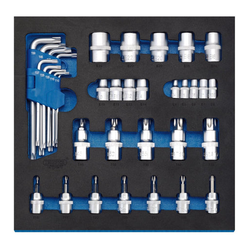 Draper TX-STAR Screwdriver Insert Bits and Keys in 1/2 Drawer EVA Insert Tray (3 Draper - Town Tools 