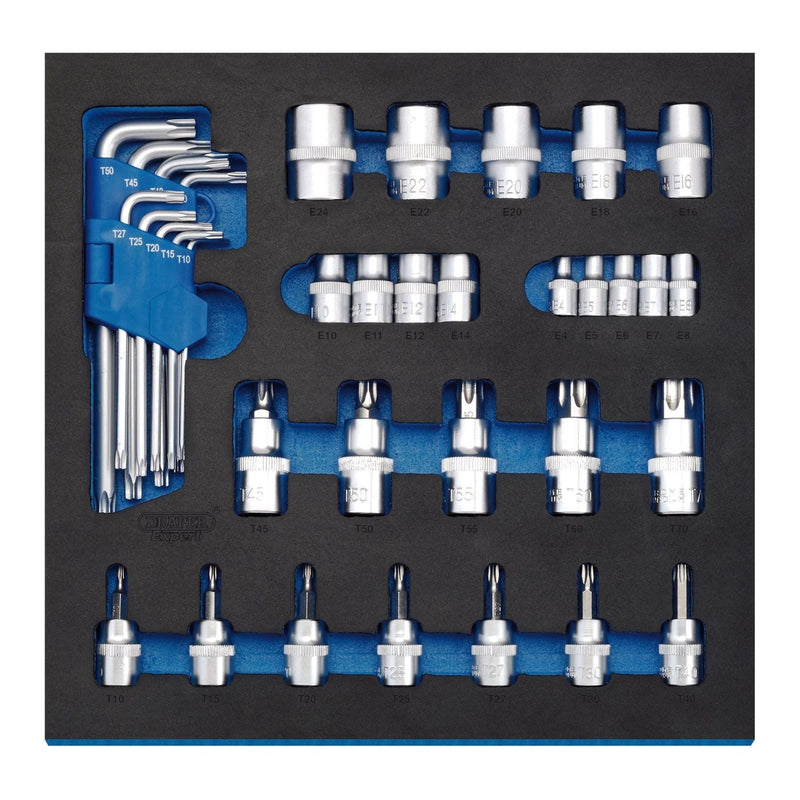 Draper TX-STAR Screwdriver Insert Bits and Keys in 1/2 Drawer EVA Insert Tray (3 Draper - Town Tools 