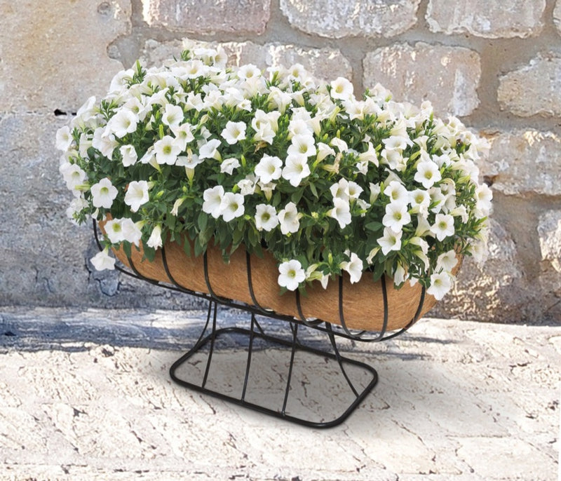 Ambassador Cradle Planter  With Coco Liner 24"