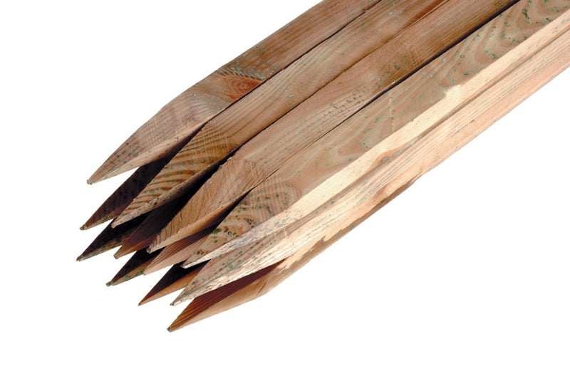 Ambassador Birch Hardwood Tree Stakes 37mm x 2.4m