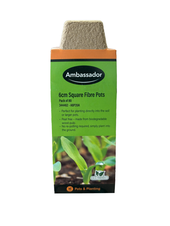 Ambassador Square Fibre Pots 6cm - Pack 80