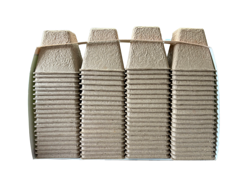Ambassador Square Fibre Pots 6cm - Pack 80
