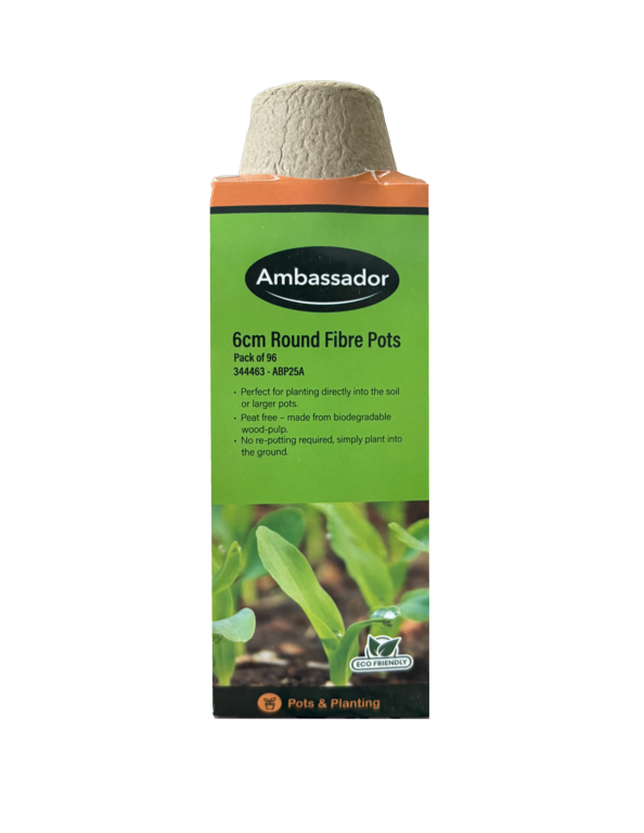 Ambassador Round Fibre Pots 6cm - Pack 96