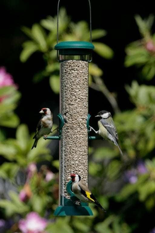 Rspb Classic Seed Feeder Medium