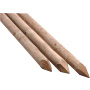 Ambassador Round Pine Softwood Tree Stakes 1.5m x 30mm