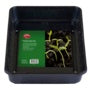 Ambassador Premium Seed Tray Medium