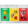 Chef Aid Poly Chopping Board 35 x 25cm Red