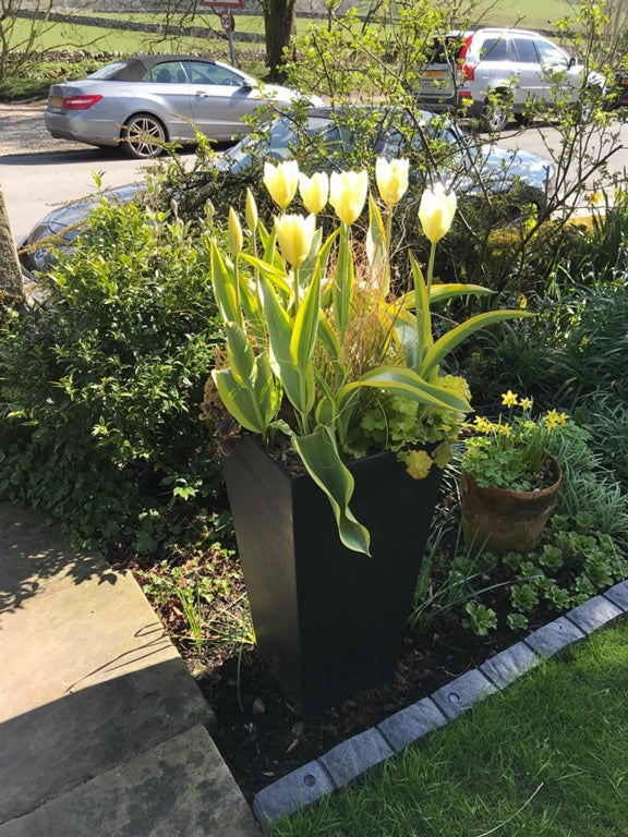 Primeur Sonata Planter 70cm Slate