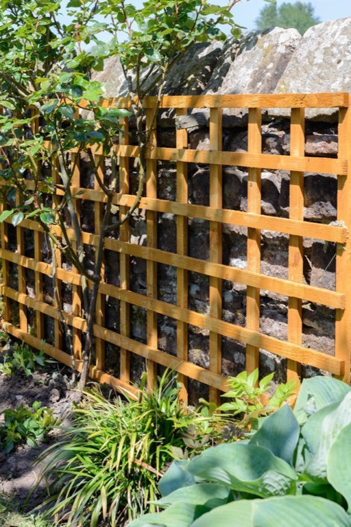 Grange Heavy Duty Square Trellis 1.83m x 32cm