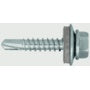 Rawlplug Hex Self-drill Screw With Washer 5.5x38