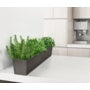 Primeur Sonata Trough Slate 15cm