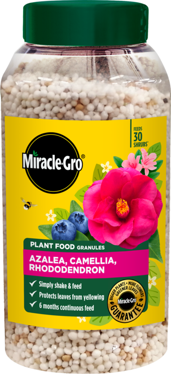 Miracle-Gro® Azalea, Camellia & Rhododendron Continuous Release Plant Food 900g