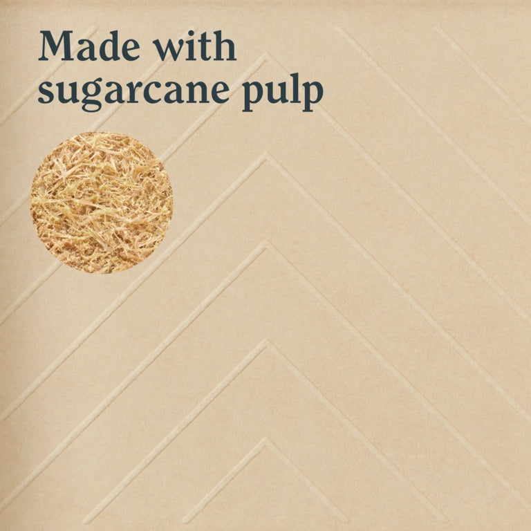 LickTools Eco Bio-Degradable Sugar Cane Paint Tray 9"