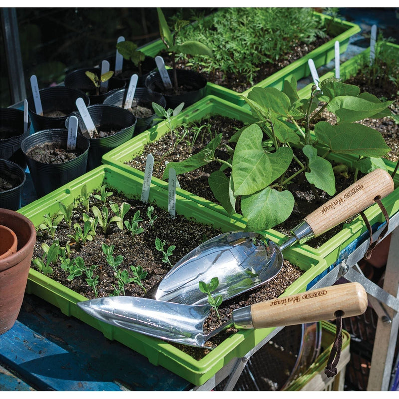 Draper Heritage Stainless Steel Hand Potting Scoop with Ash Handle 99024 Draper - Town Tools 