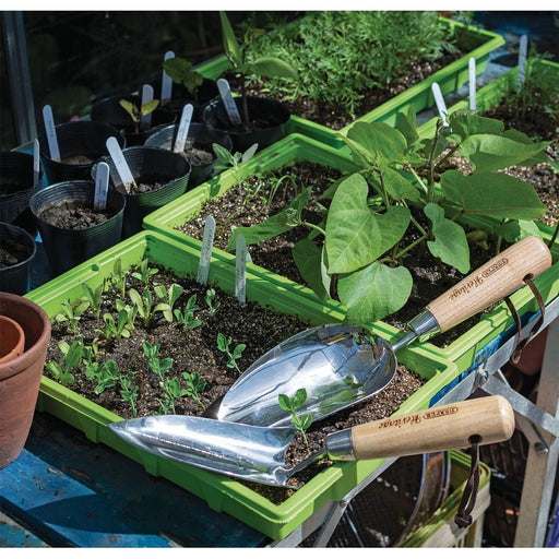 Draper Heritage Stainless Steel Hand Potting Scoop with Ash Handle 99024 Draper - Town Tools 