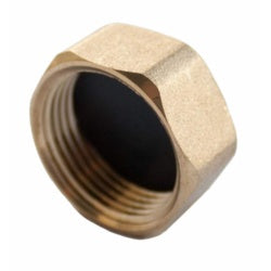 Securplumb Comp Blanking Nut 1/2"
