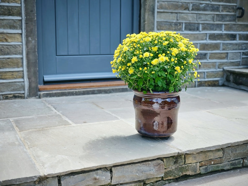 Pot-Mate Discreet Plant Pot Feet 250mm