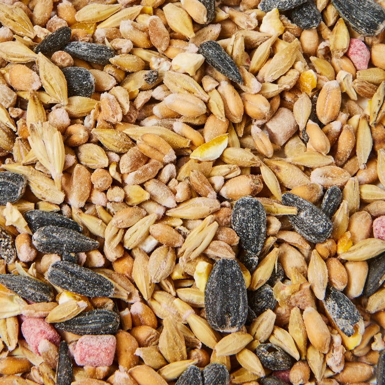 Ambassador Wild Bird Seed 12.6kg