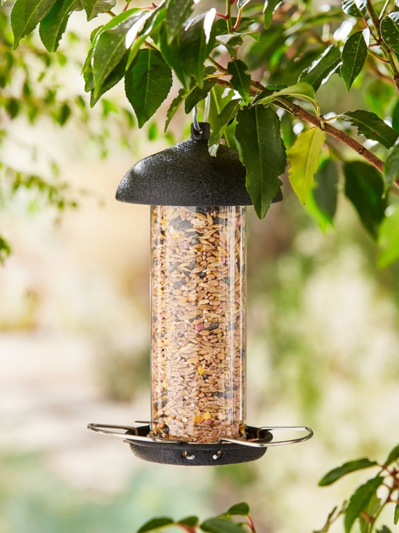 Ambassador Black Steel Seed Feeder