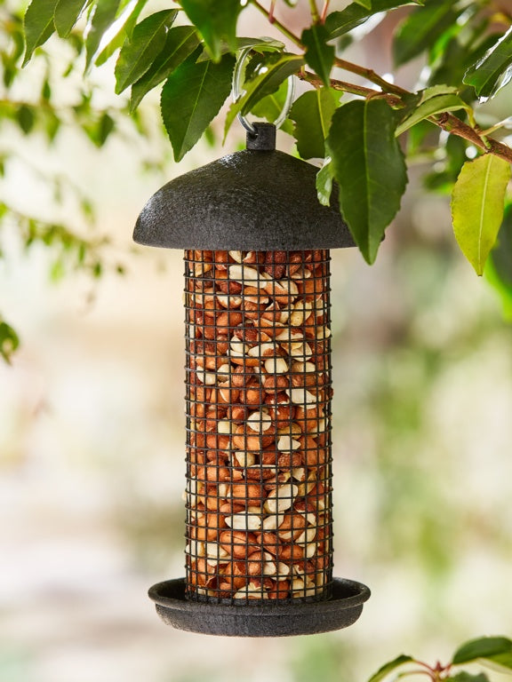 Ambassador Black Steel Peanut Feeder