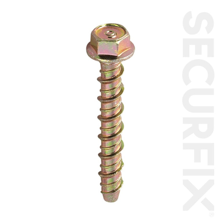 Securfix Concrete Bolt 10 Pack M10 x 130mm