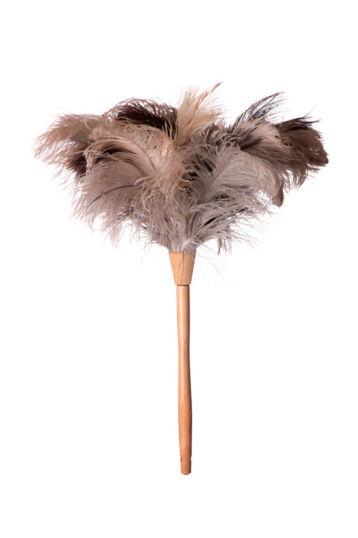 Groundsman Ostrich Feather Duster With Bamboo Handle Handle 30cm/Duster 18cm