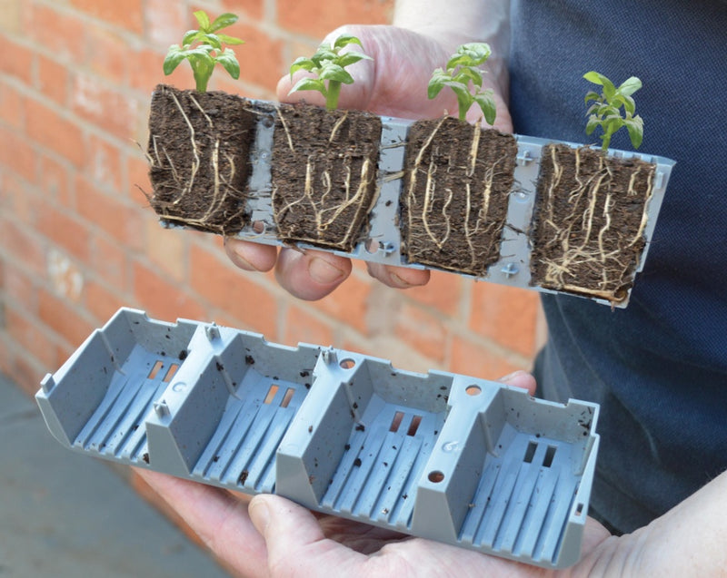 Garland 24 Cell Fast Root Success Kit