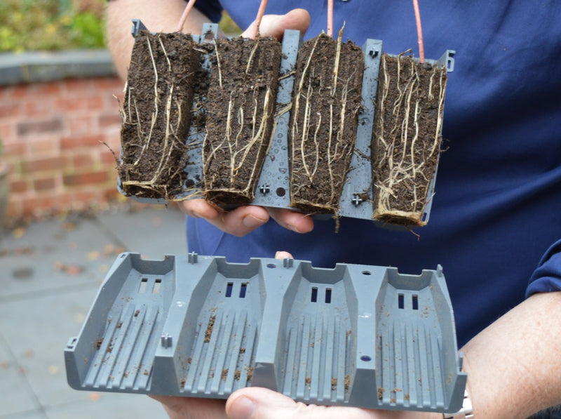 Garland 28 Cell Deep Root Success Kit
