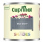 Cuprinol Garden Shades 125ml Blue Slate