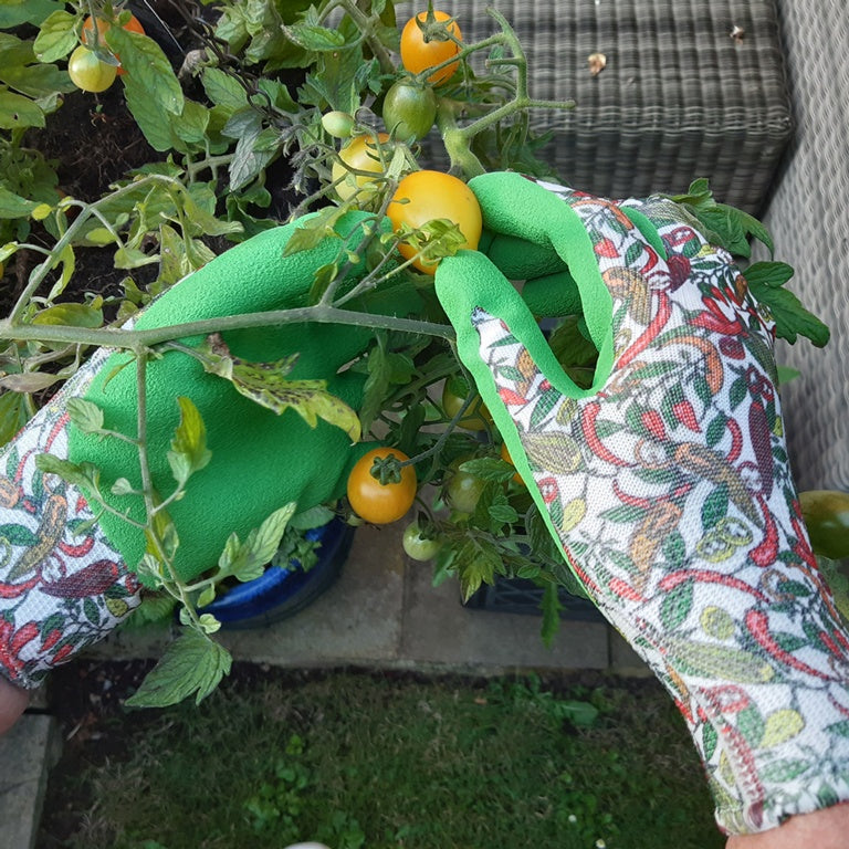 Town & Country Ladies Chilli Gloves Triple Pack