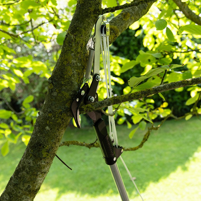 Wilkinson Sword Telescopic Tree Cutter 25mm