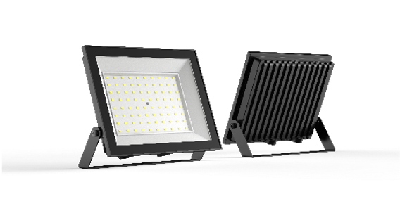 Securlec LED Floodlight 100w