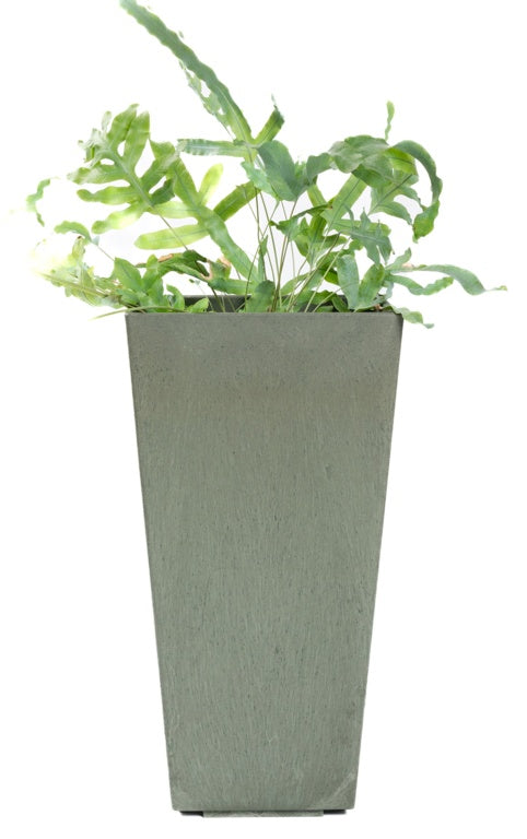 Primeur Sonata Blossom Planter 50cm